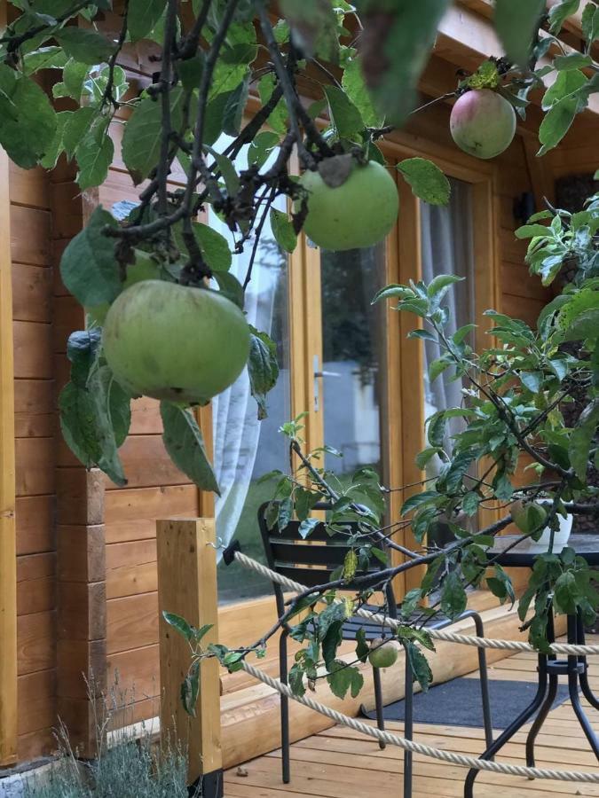 Apple House Villa Cetinje Luaran gambar