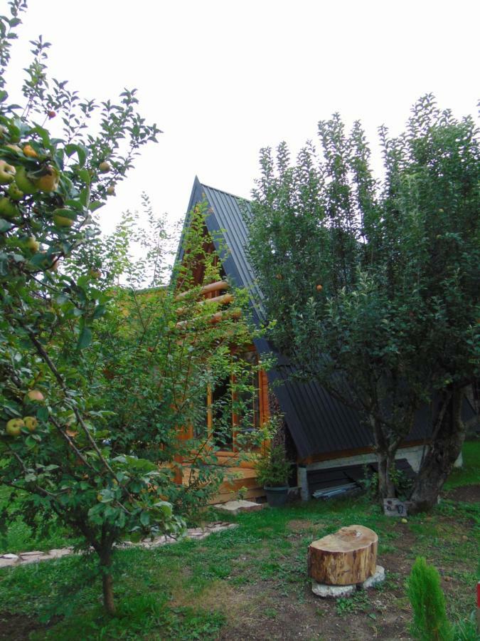 Apple House Villa Cetinje Luaran gambar