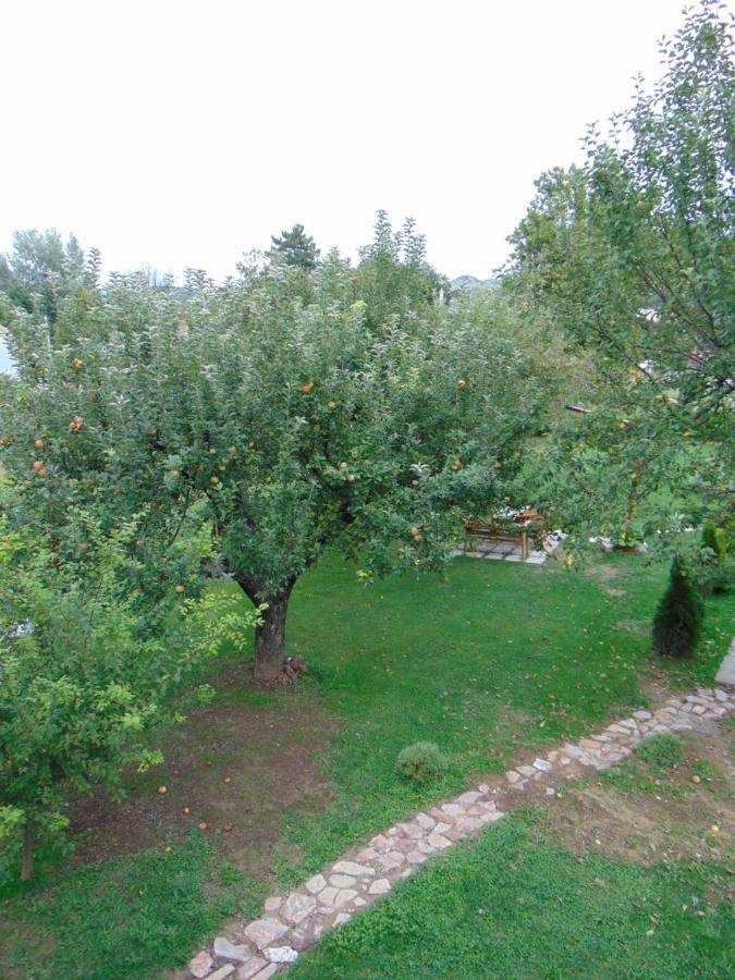Apple House Villa Cetinje Luaran gambar