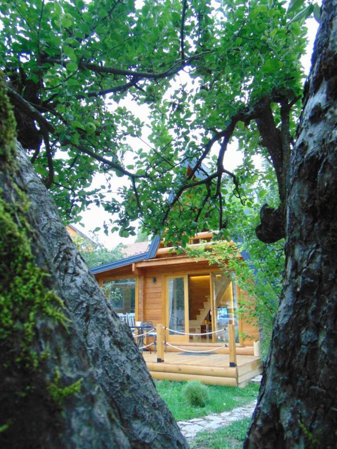 Apple House Villa Cetinje Luaran gambar