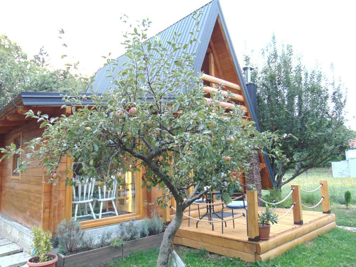 Apple House Villa Cetinje Luaran gambar